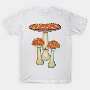 Amanita Mascaria mushrooms trippy T-Shirt